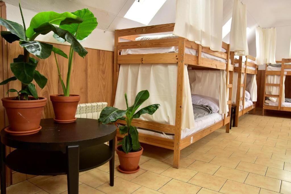 Mimosa Rooms Poznan Bagian luar foto